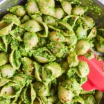 Easy Spinach Pesto Pasta | yupitsvegan.com. Simple vegan spinach and basil pesto coats shell pasta for this fresh, healthy spring dish.