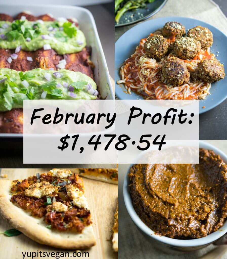 January 2017 Blog Income and Expenses | Yup, it's Vegan