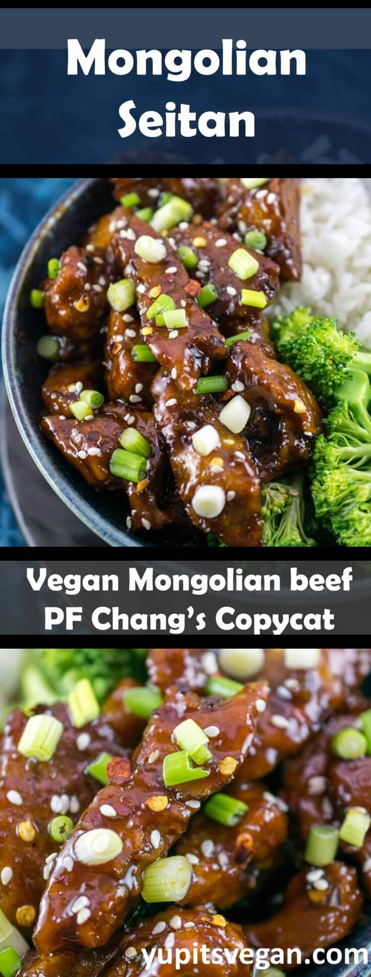 Mongolian Seitan (Vegetarian Mongolian Beef) Recipe | Yup, it's Vegan