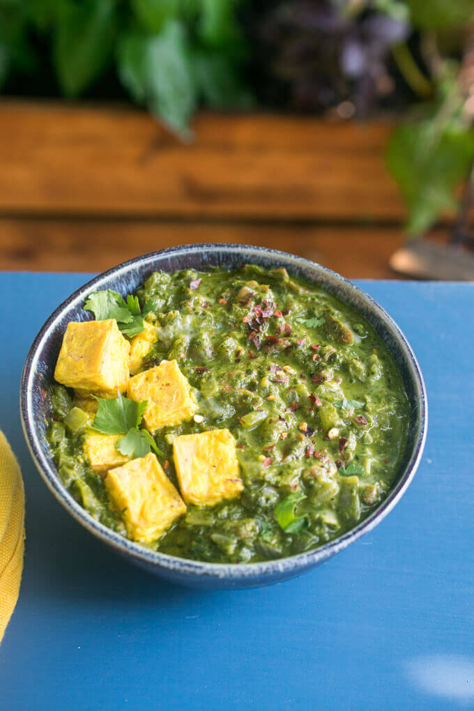 A bowl of vegan saag paneer and yellow turmeric tofu on a picnic table with plants in the background